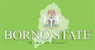 Zulum unvails new corperate identity for Borno’s internal revenue service